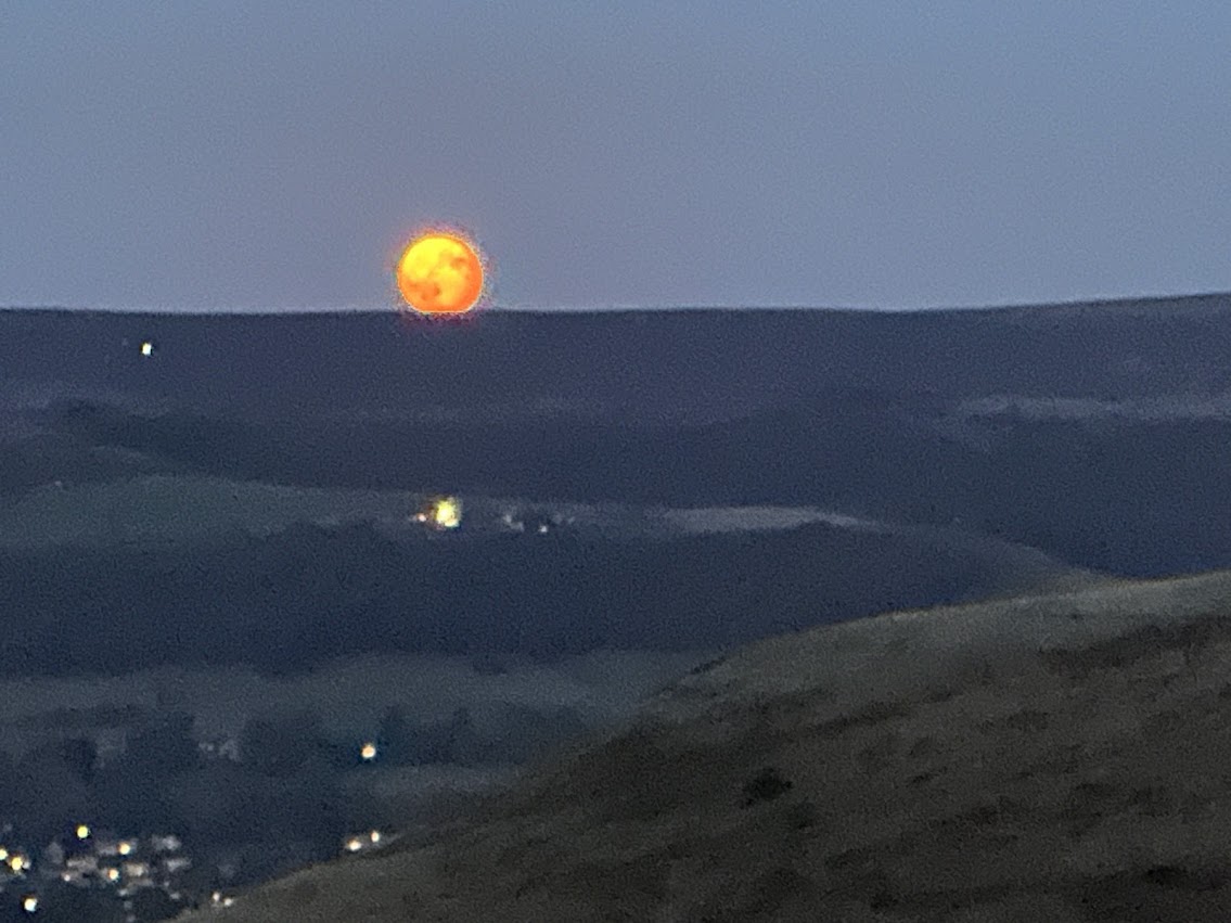 Moon Rise