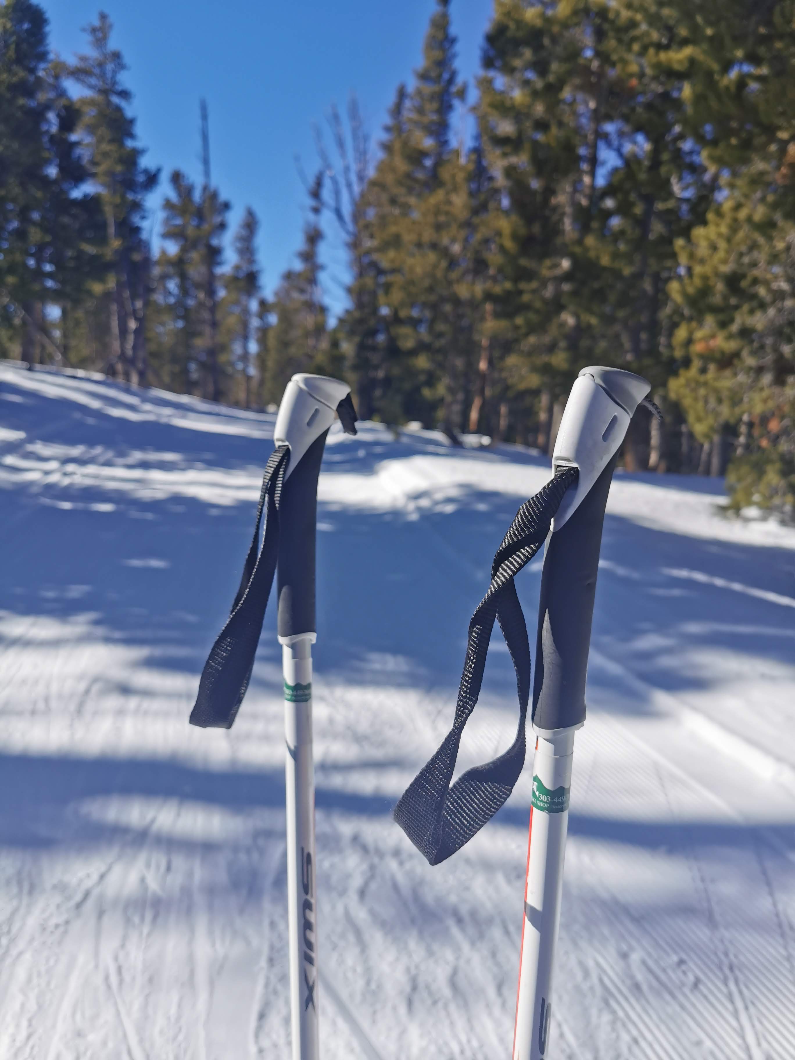 XCski